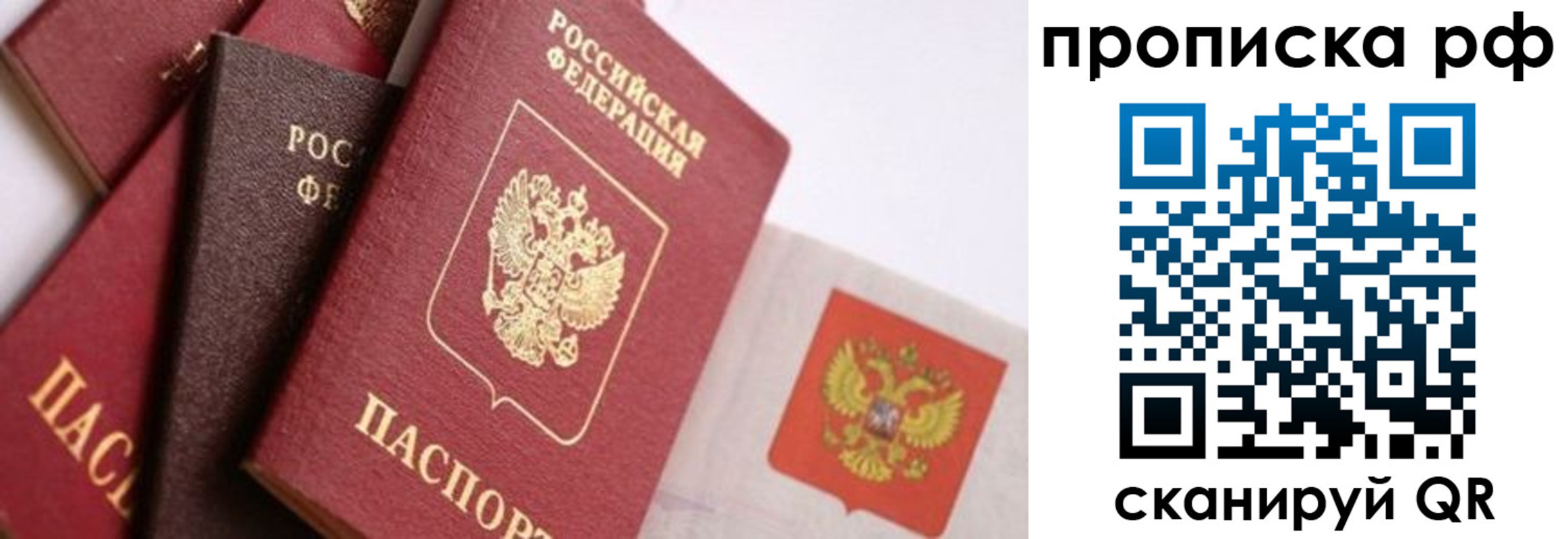 найти адрес прописки в Смоленской области